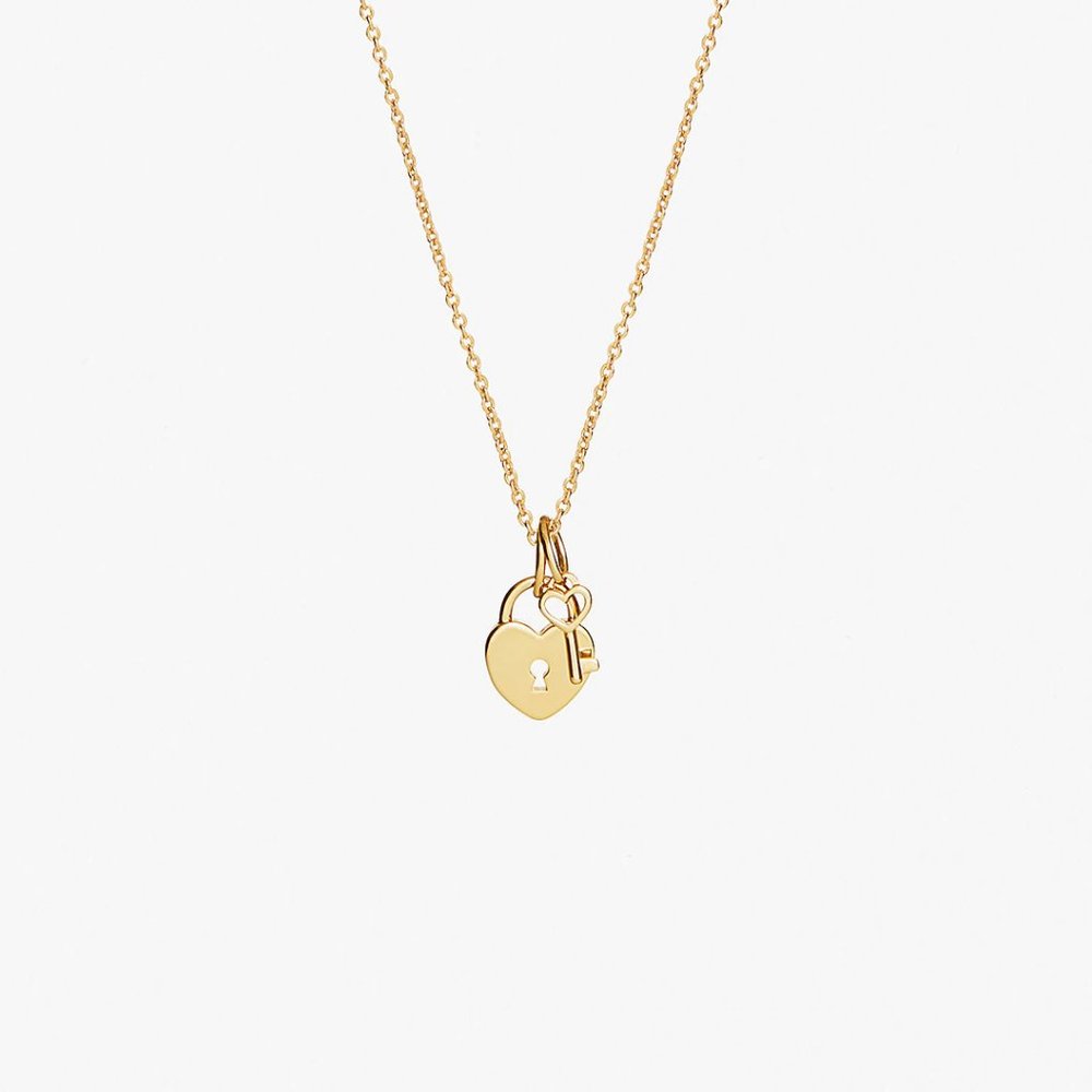 NWT ana luisa heart lock necklace